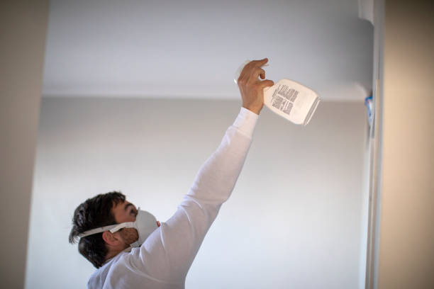 Best Commercial Mold Removal  in Walce, LA