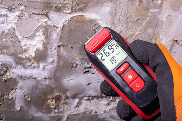 Best Best Mold Removal Companies  in Walce, LA
