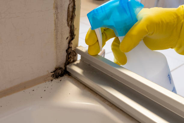 Best Crawl Space Mold Removal  in Walce, LA